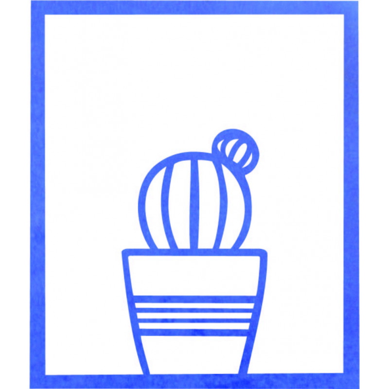 Modern festmény a falon - KAKTUSZ ALDER | SENTOP