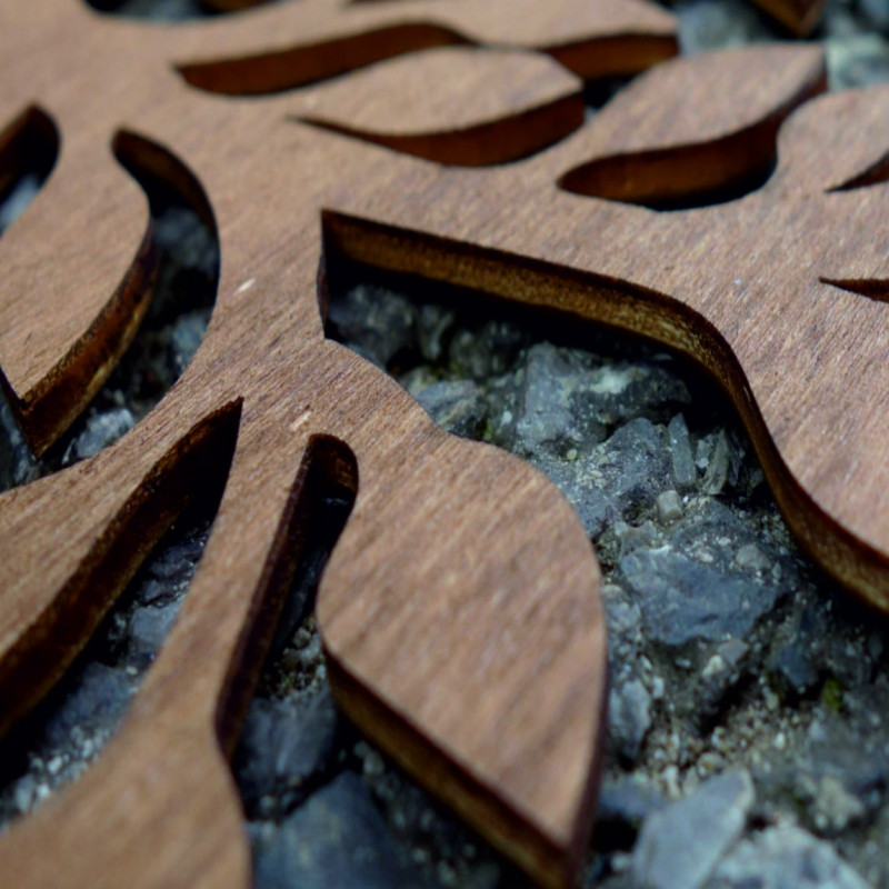 Faragott festmény egy pálmafa falán - TROPICAL...