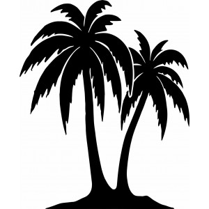 Faragott festmény egy pálmafa falán - TROPICAL | SENTOP 2