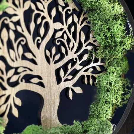 Közeli kép egy hátulról megvilágított, mohával körülvett, fából készült Életfáról.