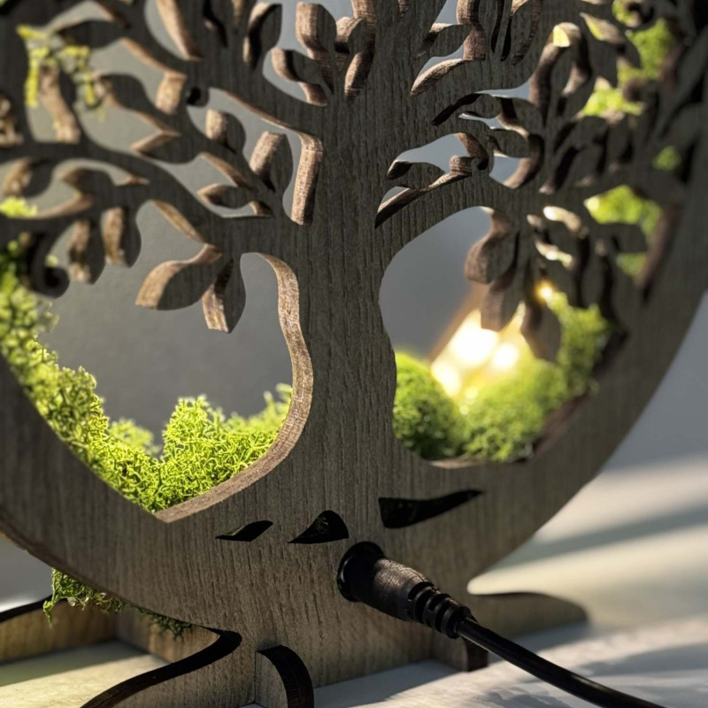 Közeli kép egy hátulról megvilágított, mohával körülvett, fából készült Életfáról.