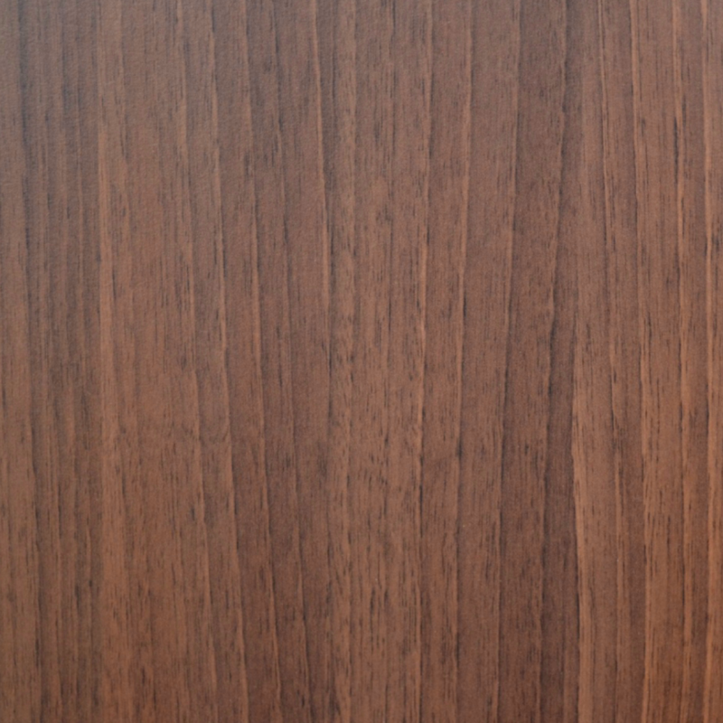 copy of Fa kép az élet fájáról körben | CATARA