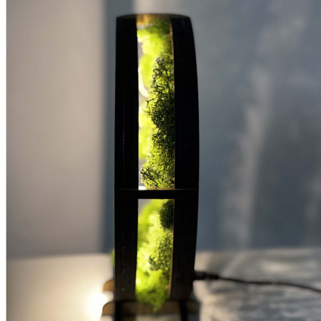 Közeli kép egy hátulról megvilágított, mohával körülvett, fából készült Életfáról.