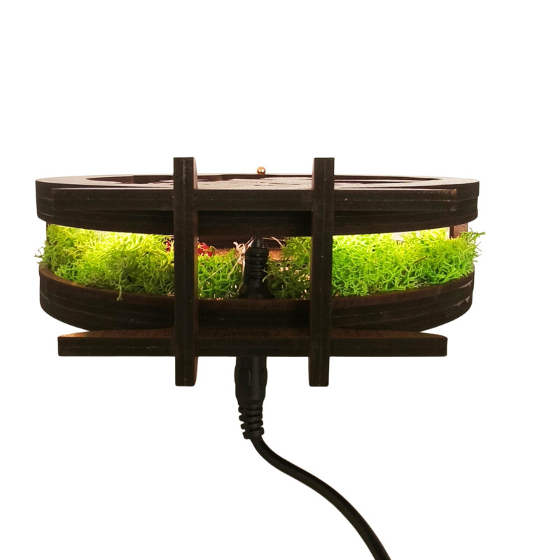 LED dekoráció Kis herceg repülőgéppel | Wenge...