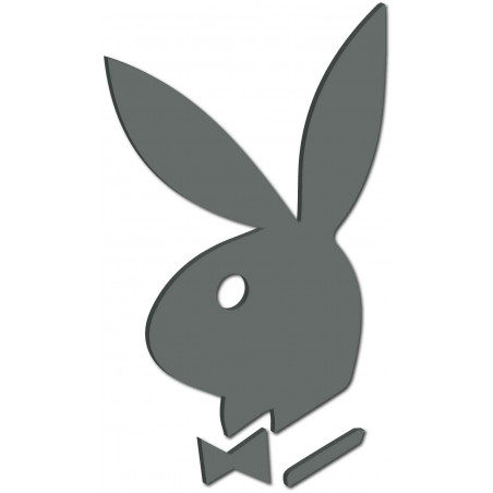 Dekoratív tükrök. Tükörmatricák falra, képként vagy dekorációként, 3D akrilmatrica