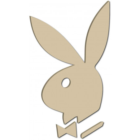 Dekoratív tükrök. Tükörmatricák falra, képként vagy dekorációként, 3D akrilmatrica